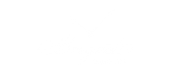 Breguet WATCHES